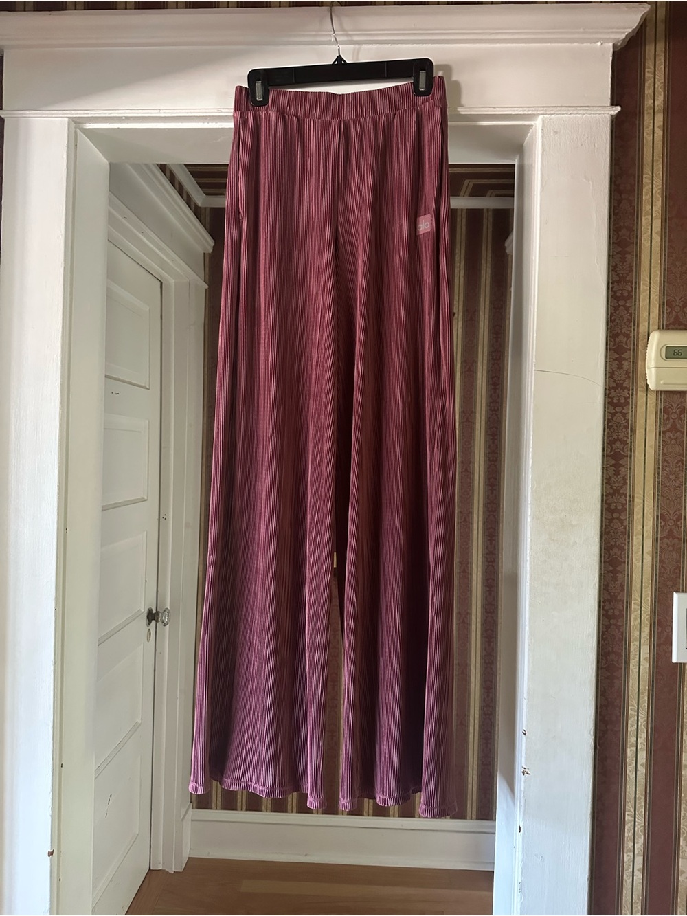 ALO Yoga Pleated Wide-Leg Pants